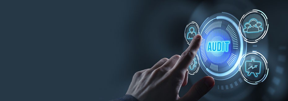 it audit services